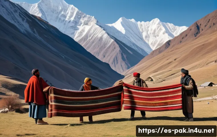 파키스탄 전통 직물과 원단 종류 관련 이미지 2